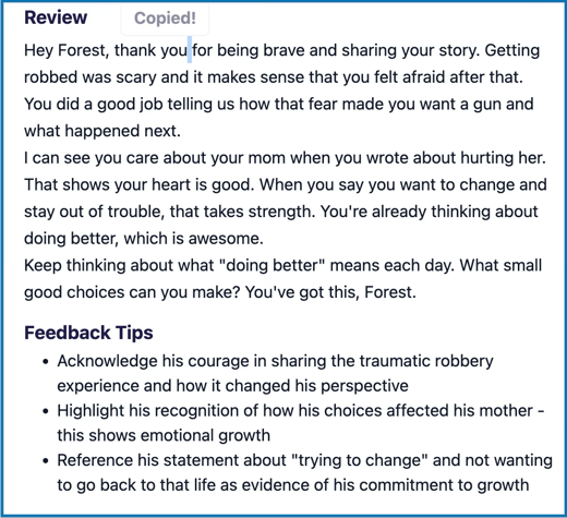 ai review grade 4